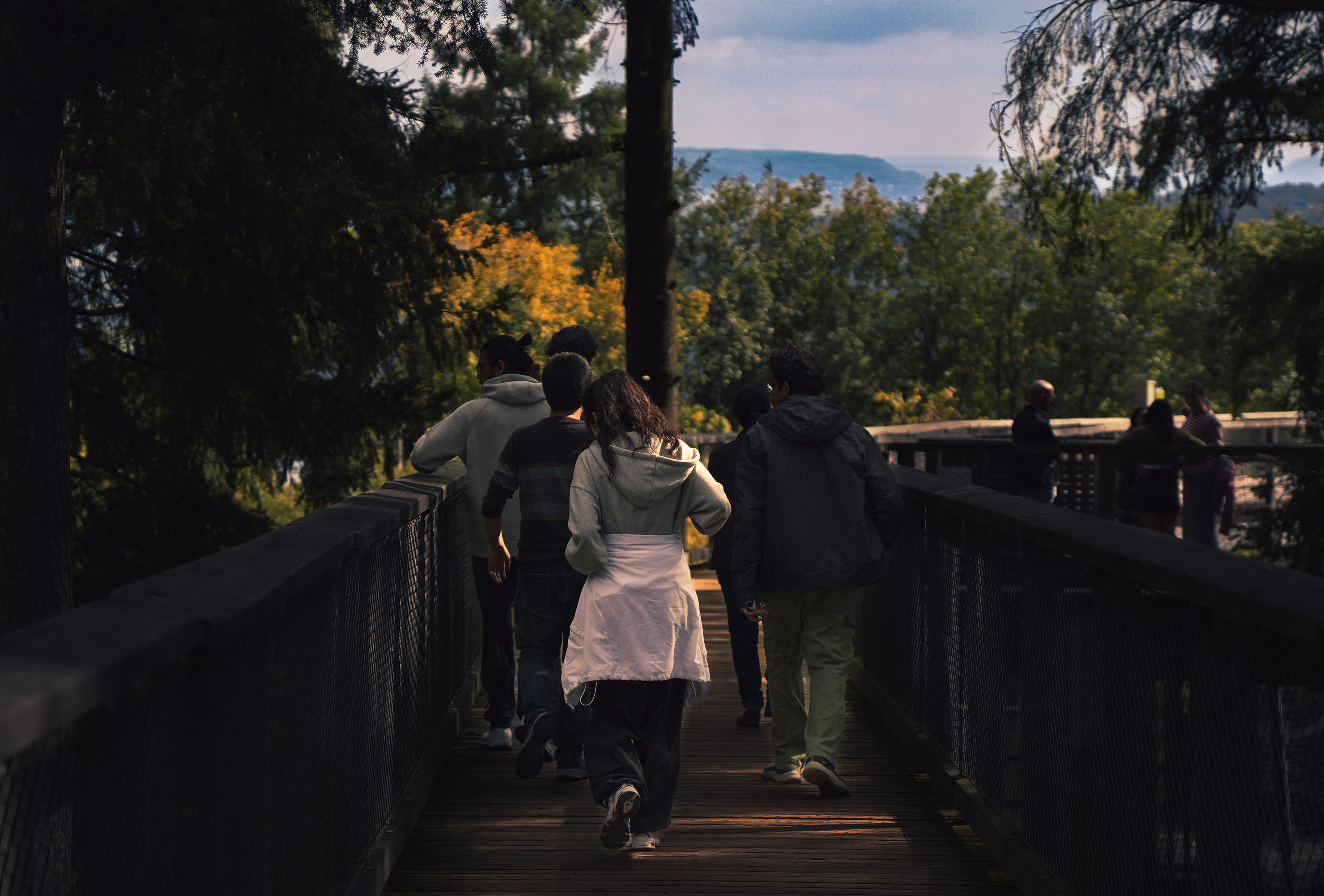 Stroll across Saarschleife